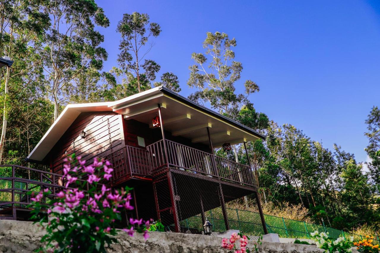 Wild Orchid Eco Tourism Munnar Zewnętrze zdjęcie
