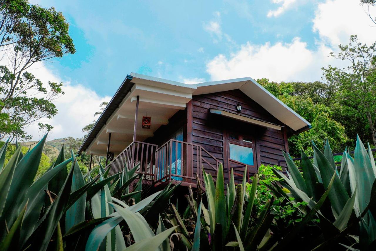 Wild Orchid Eco Tourism Munnar Zewnętrze zdjęcie