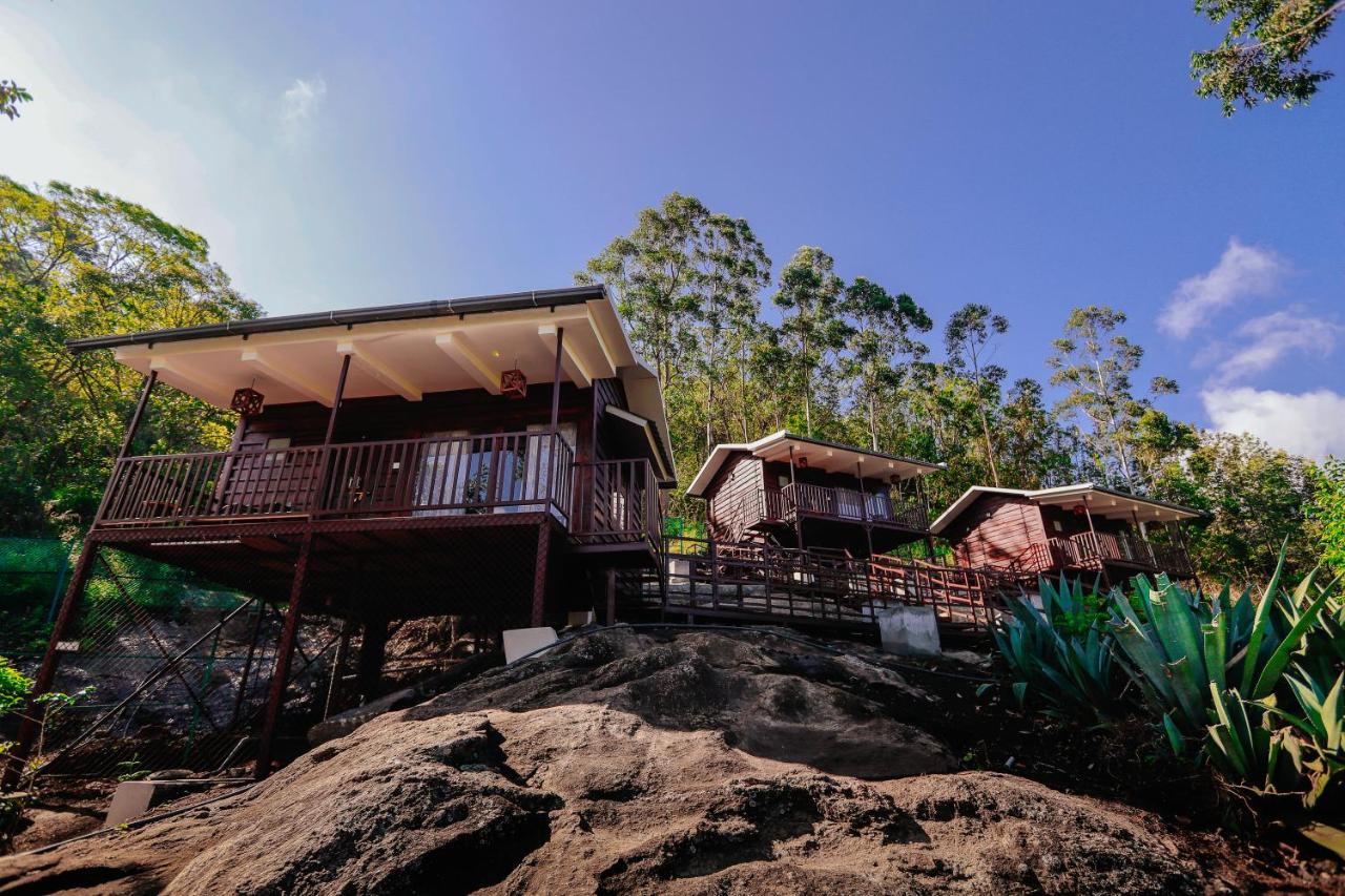 Wild Orchid Eco Tourism Munnar Zewnętrze zdjęcie